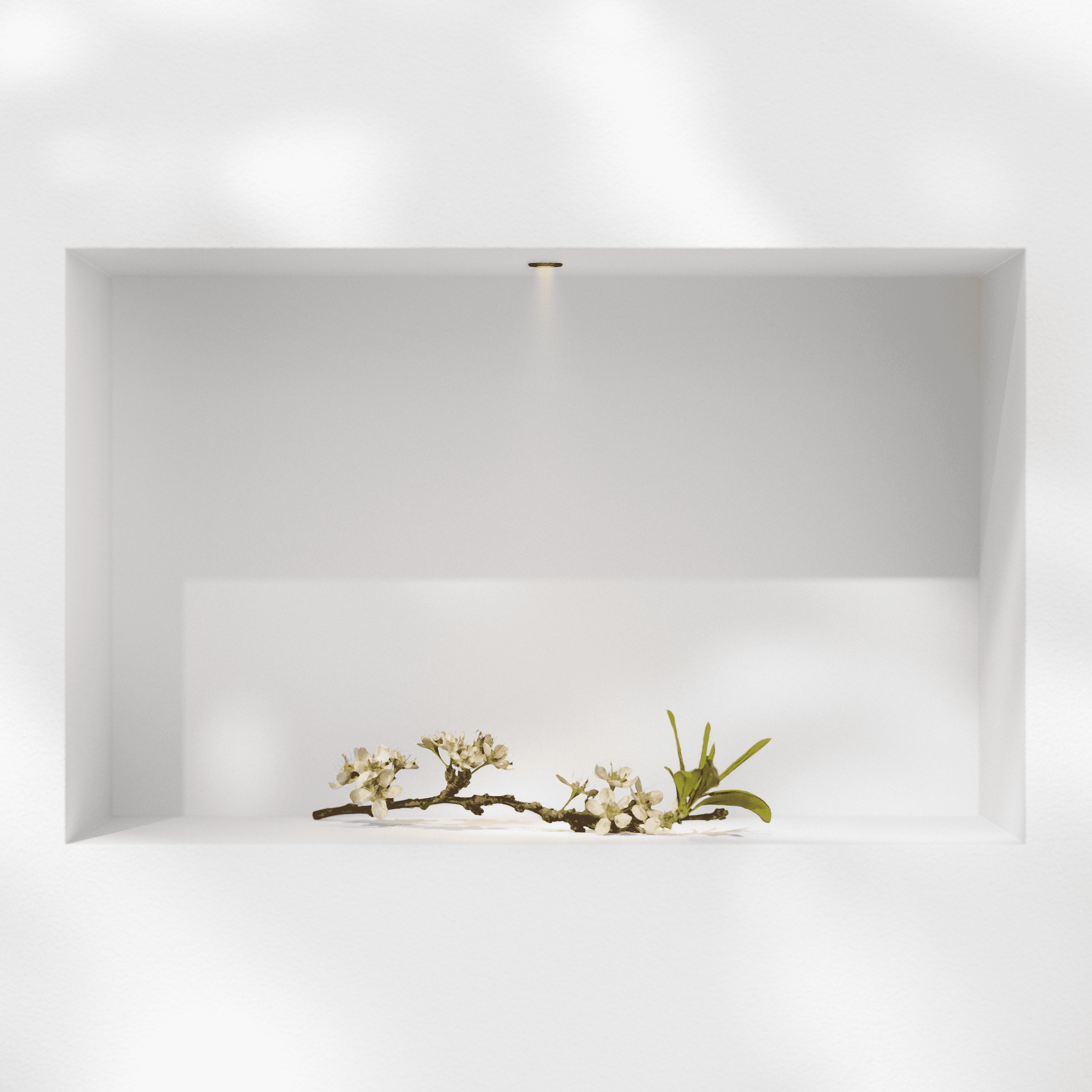 Picture of product